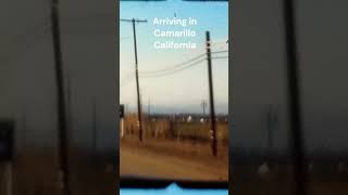 Driving into Camarillo California 8mm Home Movie popculture relaxin hotelcalifornia [upl. by Remot]