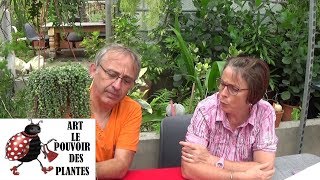 Tuto jardinage Senecio rowleyanus Comment faire une bouture  plantes vertes succulente grasse [upl. by Ecnaralc]