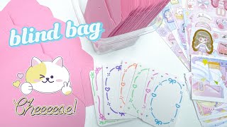 ASMR Play 🎀 unboxing 🌸 stickers blind bag 🍭 Decorate with Sticker Book 🌷Asmr journal  Ep26 [upl. by Ellenehc714]