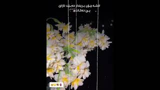 ٢٠ أكتوبر ٢٠٢٤ [upl. by Sheryle]