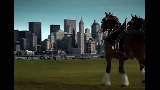 Budweiser Clydesdales Horses 911 Tribute  Never Forget 🇺🇸 [upl. by Shevlo]