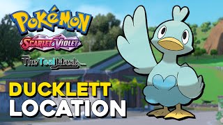 Pokemon Scarlet amp Violet Teal Mask DLC Ducklett Location [upl. by Rees]