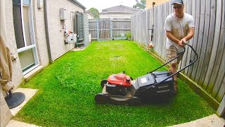 Lawn Mowing a small backyard Honda Lawn Mower Stihl Trimmer Blower [upl. by Ecire88]