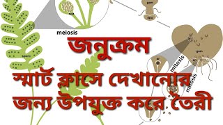 জনুক্রম Alternation of generation of Dryopteris in Bengali jonukrom WBBSELife scienceSmart class [upl. by Chappy550]