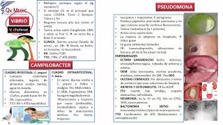 Infectología  3 RM19 DIA 1 INFECTOLOGIA FIEBRE TIFOIDEA de Qx Medic on Vimeo [upl. by Aihtnic]