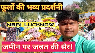 गुलदाउदी एवं कोलियस प्रदर्शनी NBRI लखनऊ lucknow flower exhibition 2022gardening [upl. by Ayoted]