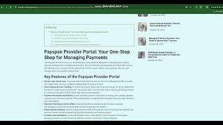 Payspan Provider Portal Your OneStop Shop for Managing Payments [upl. by Nojel]