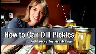 How to Can Dill Pickles [upl. by Yecnahc]