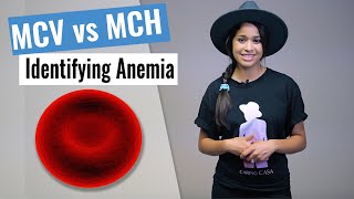 How to Identify Anemia  MCV vs MCH  NCLEX Review  Christina NP [upl. by Mccandless]