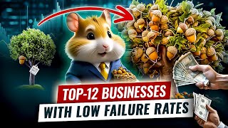 Hamster Rating Top12 Businesses with low failure rates [upl. by Rakso]