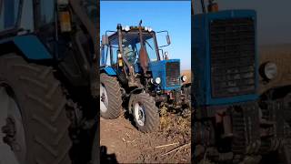 Chernozem processing in drought  Field after Sunflower  Ukraine harvester tractor [upl. by Barbuto920]