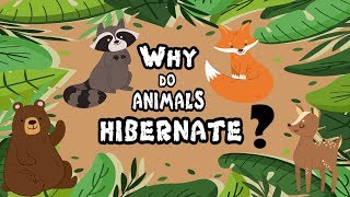 HIBERNATION  The Open Book  Education Videos [upl. by Cordova158]