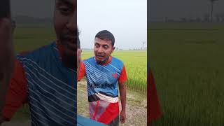 Orsaline আসলে কার foryou funny comedy trending viral [upl. by Mccord]