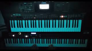 Rammstein  Spiel Mit Mir Keyboard Cover [upl. by Sorazal]