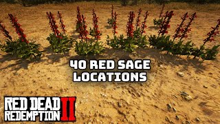 40 Red Sage Locations in Red Dead Redemption 2 [upl. by Llenrac854]