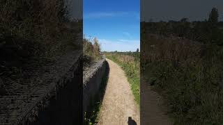 Surrey Hills National Landscape surreyhills boxhill [upl. by Chapnick]