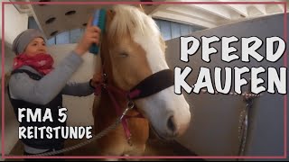 PFERD KAUFEN ✮ FMA 5 ♥ Reiten [upl. by Etterrag]