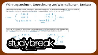 Währungsrechnen Umrechnung von Wechselkursen Dreisatz  Kaufmännisches Rechnen [upl. by Hyland399]