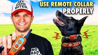 E collar training for beginnersHow to train a dog using the remote collar [upl. by Wernher]