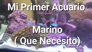 ¿Que Necesito Para Mi Primer Acuario Marino  Costo Y Materiales [upl. by Corrie]