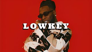 Burna Boy Ft Oxlade Afrobeat Type Beat 2023 quotLOWKEY” [upl. by Fulbert]