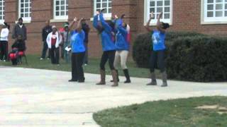 2013 Radford University Alumni Weekend  Zeta Phi Beta Stepping [upl. by Florida]