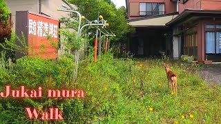 Shojinko mura Yamanashi walking tour 【4K】2023 [upl. by Caty999]