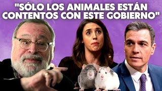 💥 Fernando Savater carga contra Sánchez quotSólo los animales están contentos con este Gobiernoquot 💥 [upl. by Adil]