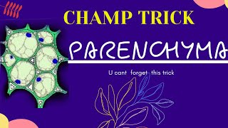 Types of parenchyma tissueParenchyma tissue class9Parenchyma tissueTypes ampfunction of parenchyma [upl. by Jakob]