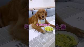 A dog is not easy to 😰 fool woodworking art skill wood  handcraft shorts viral trending [upl. by Yor758]