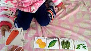 Simple Way To Teach ToddlerPreschooler about Vegetables PART 2Flash card learning [upl. by Hendrick]