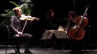 Schubert à Tautavel avec le Trio Capuçon [upl. by Thirzia]