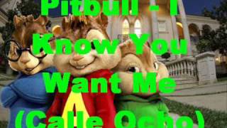 Pitbull  I Know You Want Me lyrics  mixed chipmunks [upl. by Aciretahs]