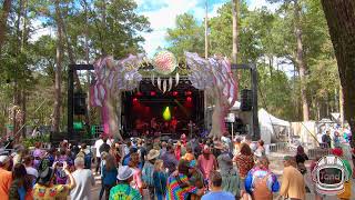 Tand  Suwannee Hulaween 2021 Full Show [upl. by Llenram]