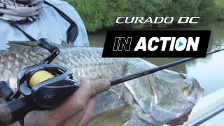 IN ACTION Shimano Curado DC [upl. by Schaefer783]