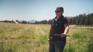 Rotational Grazing For Carbon Credits [upl. by Tunk200]