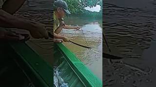 langsung tebas pakai mandau fishing [upl. by Eladnar397]