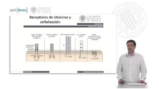 Receptores de Citocinas Transducción de Señales  818  UPV [upl. by Atlanta425]