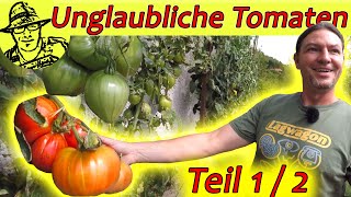 Rundgang beim TomatenProfi 150 Sorten Tomaten viele Tipps und der schönste Blick über den Mondsee [upl. by Hsepid]