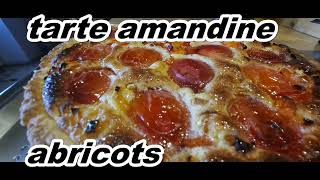 tarte amandine aux abricots [upl. by Lemcke]