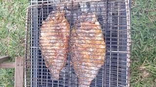 Charcoal Grilled Tilapia  The Authentic Ghanaian Way [upl. by Nudnarb]