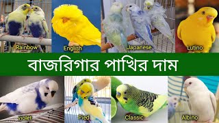 বাজরিগার পাখির দাম 2023 পাখি পালন  Budgerigar Bird price In Bangladesh and India 2023  Grow Life [upl. by Mmada]