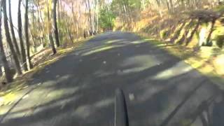 Pittsfield State Forest  Berry Pond Circuit Loop on Road Bike  Fall 2011 [upl. by Suzetta]