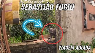 O GATO SEBASTIÃO ESCAPOU E ADIOU NOSSA VIAGEM  EP 70 [upl. by Ahsienahs]