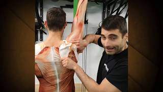 🎥 Elimina el dolor de hombro y trapecio  Roots videotips ✅ [upl. by Monique68]