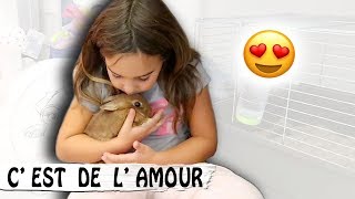 ALORS  COOKIE OU    Family vlog [upl. by Ahsinirt]