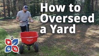 Do My Own Lawn Care  How to Overseed a Yard  E13 [upl. by Enitsuj]