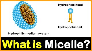 What is Micelle  Hindi  Dr Priyank Singhvi [upl. by Millford]