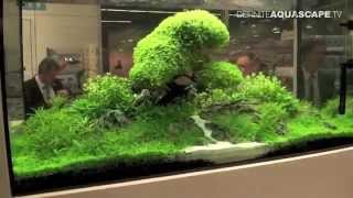 Aquarium ideas from InterZoo 2014 pt32  OASE GmbH [upl. by Aleydis657]