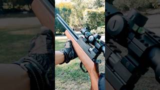 Evanix AR6K 22 Hunting Master PART 3 shorts targetshooting plinking airguns pcp [upl. by Vachill]